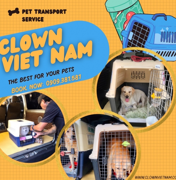Vận chuyển thú cưng